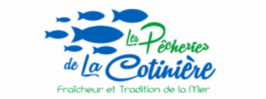 design sans titre copie